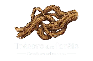 Trésor des forets