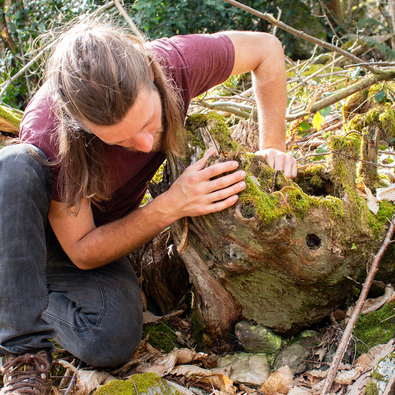 Recherche en forêt
