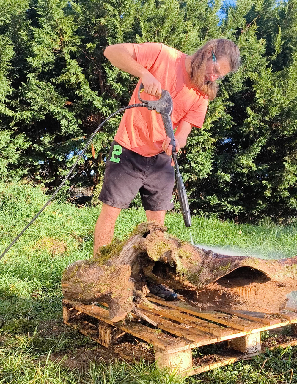 Collecte du bois en forêt